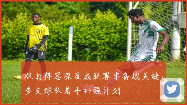 双打阵容深度成新赛季备战关键，多支球队着手补强计划
