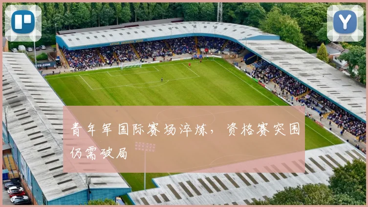 青年军国际赛场淬炼，资格赛突围仍需破局