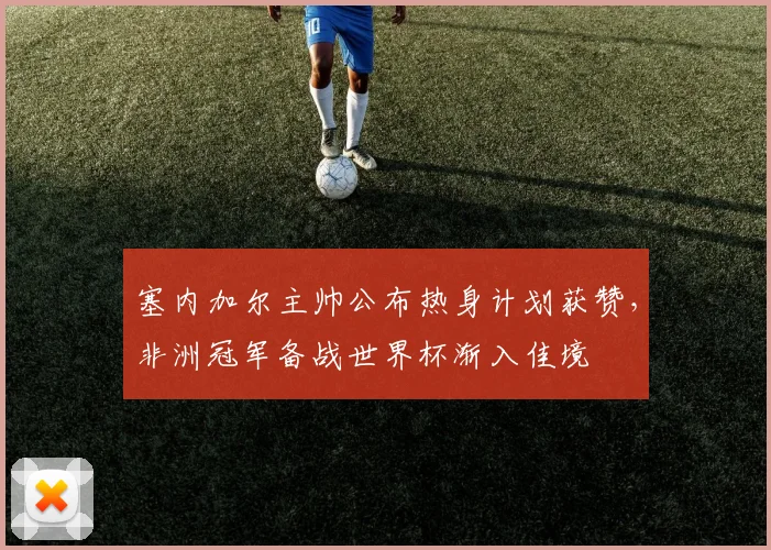 塞内加尔主帅公布热身计划获赞，非洲冠军备战世界杯渐入佳境
